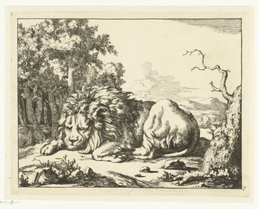 Sleeping lion