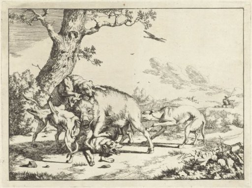 Boar attacked by four hunting dogs