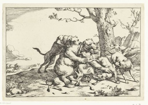 Bear in fight with six hunting dogs