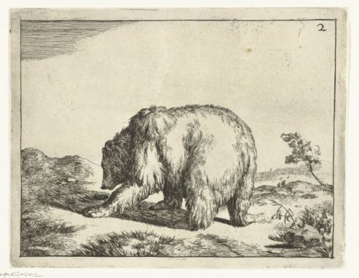 Standing bear, seen from the back