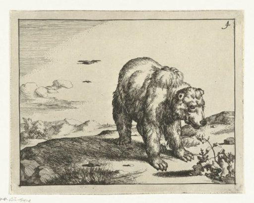 Standing bear by a plant