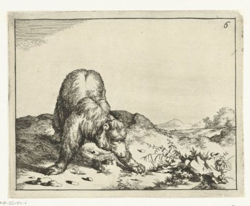 Standing bear, from the front, forepaws wide apart