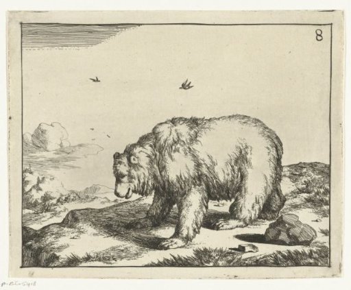 Standing bear, in profile