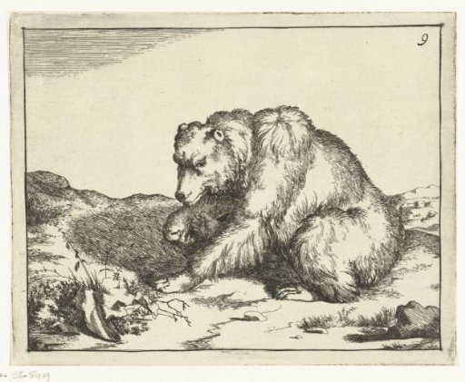 Sitting bear, in profile