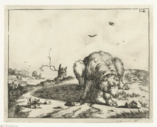 Crouching bear, near a tree stump