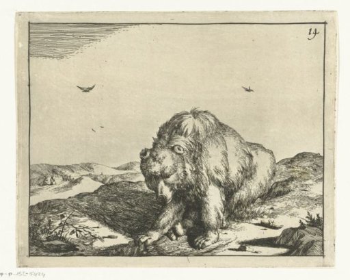 Sitting bear seen from the front