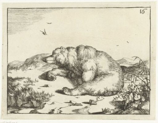 Sleeping bear, lying on its side