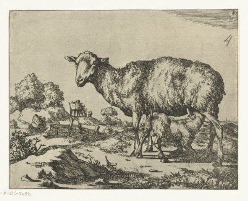 Sheep with a drinking lamb