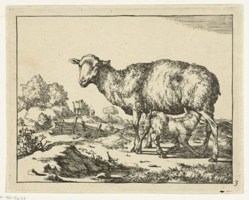 Sheep with a drinking lamb
