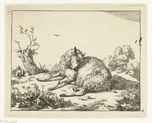 Sheep lying down, near a pollard willow
