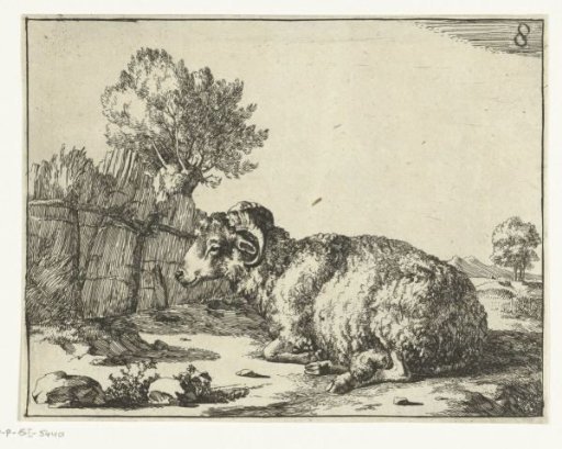 Ram lying down, in profile