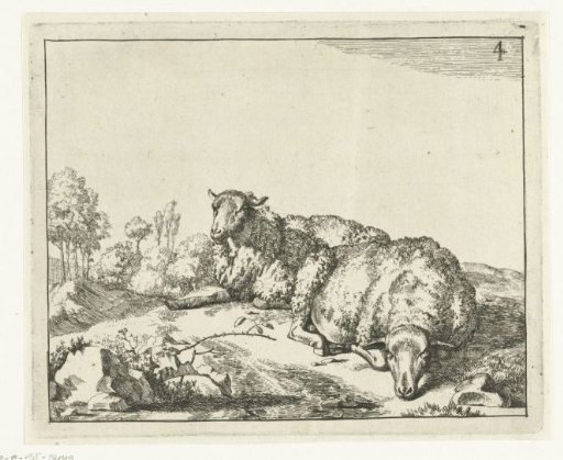 Two sheep lying down near a bramble branch