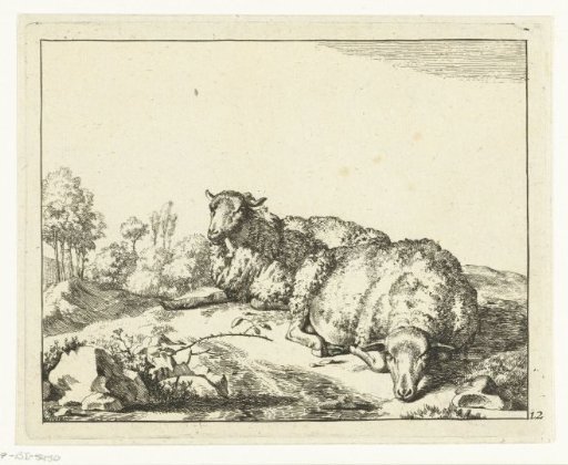 Two sheep lying down near a bramble branch
