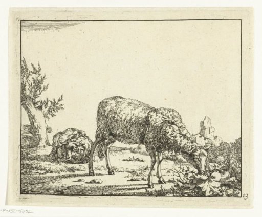 Grazing sheep and lying sheep near a fence