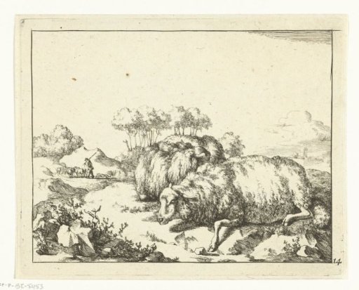 Two sheep, lying, with shepherd in the background