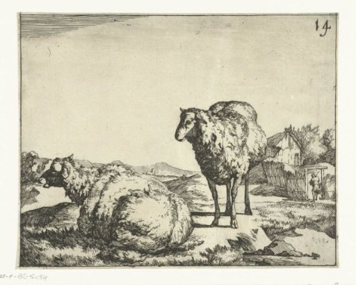 Standing and lying sheep with farm in the background