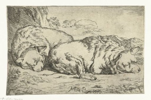 Two sleeping dogs