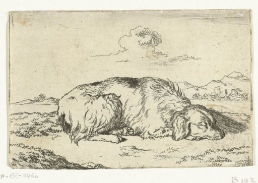 Sleeping dog