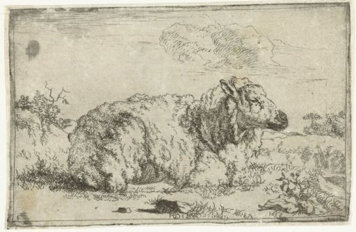 Resting sheep, in profile