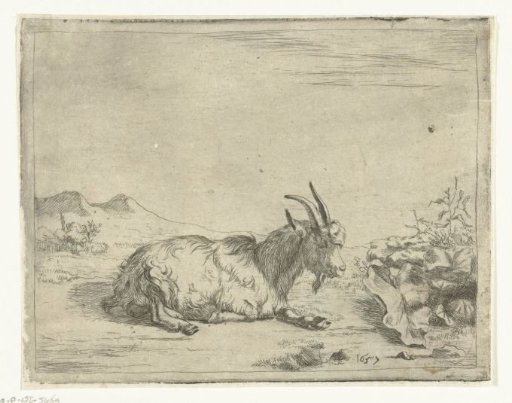 Resting billy goat