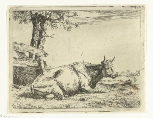 Resting cow by a fence