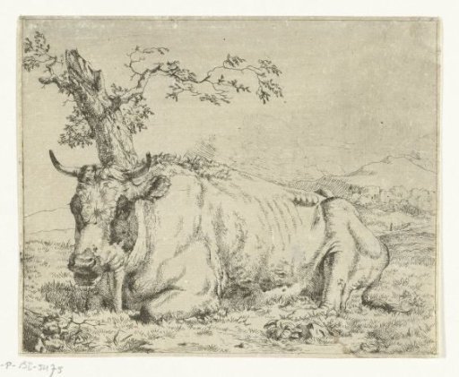 Resting cow, by tree