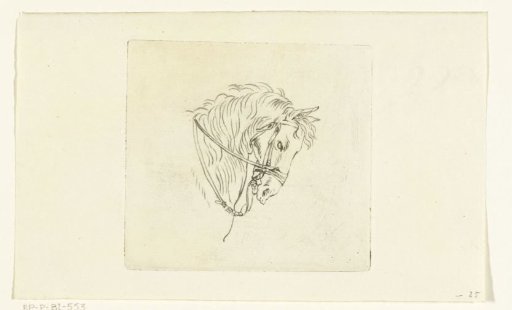 Head of a Horse with Reins