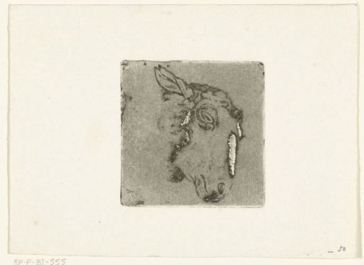 Sheep's Head