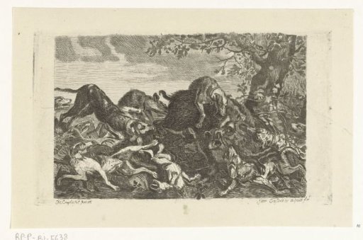Dog hunt on a wild boar