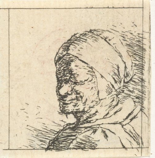 Bust of an Unknown Woman