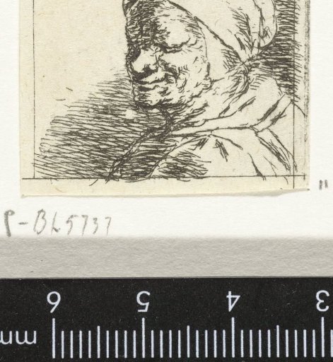 Bust of an Unknown Woman