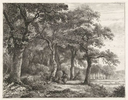 Forest landscape with a man with a backpack