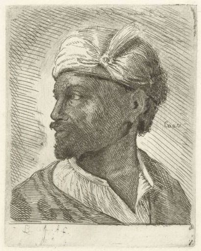 Portrait of an Abyssinian