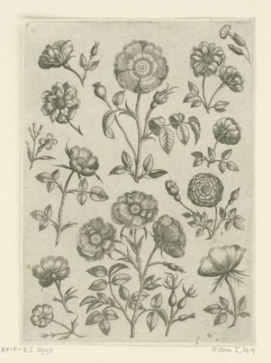 Various roses