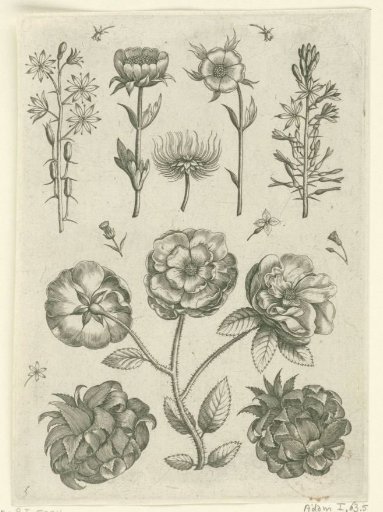 Sheet with flowers: three roses between two artichokes at the bottom center
