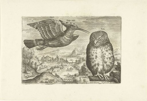 Several birds in a landscape