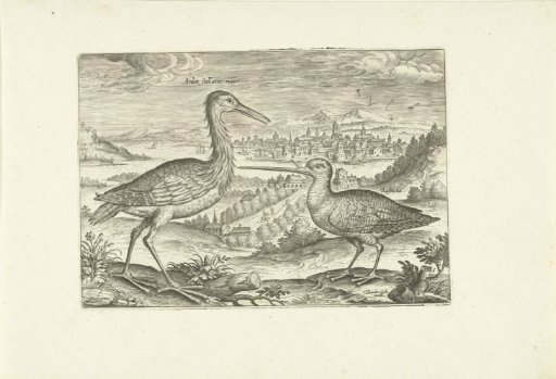 Two birds in a landscape