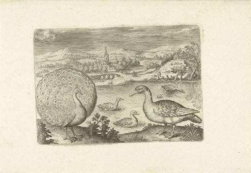 Several birds in a landscape