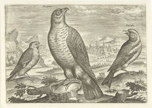 Three birds in a landscape