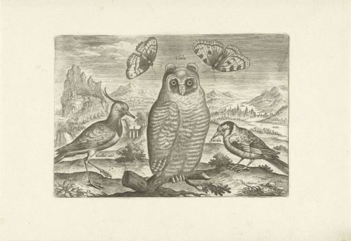 Birds and butterflies in a landscape