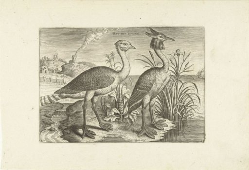 Two wading birds in a landscape