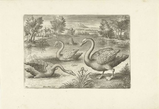 Three Swans in a Pond