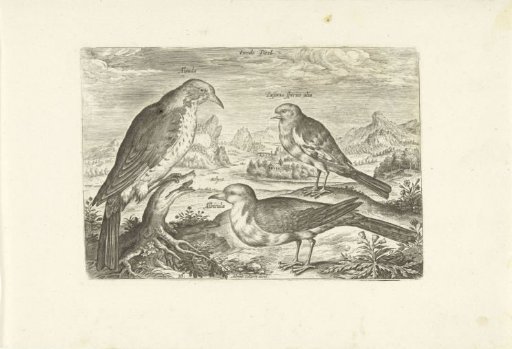 Three birds in a landscape