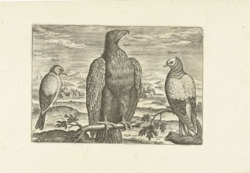Three birds in a landscape