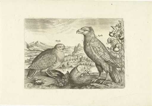 Two birds in a landscape