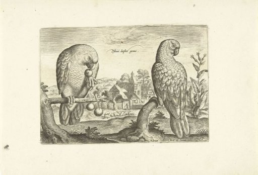 Two parrots in a landscape