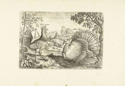 Two chickens in a landscape