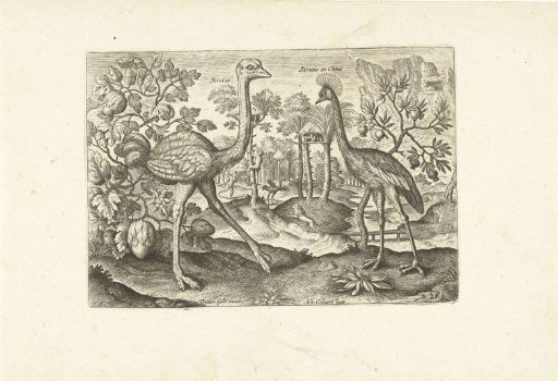 Two wading birds in a landscape