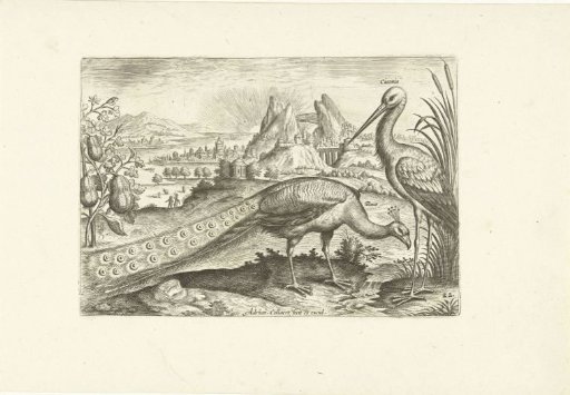 Two birds in a landscape