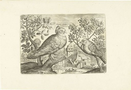 Two birds in a landscape